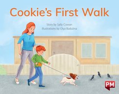 PM Yellow: Cookie's First Walk (PM Storybooks) Level 6 x6