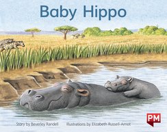 Mixed Pack (PM Storybooks) Level 6 (11 books)