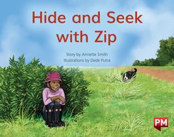 PM Yellow: Hide and Seek with Zip (PM Non-fiction) Level 6 x6