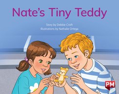 PM Yellow: Nate's Tiny Teddy (PM Storybooks) Level 8 x6