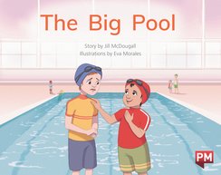 PM Blue: The Big Pool (PM Storybooks) Level 10 x6