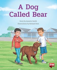 PM Storybooks Level 19 Mixed