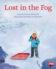 Lost in the Fog (PM Storybooks) Level 18