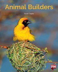 Animal Builders (PM Non-fiction) Level 17 x 6