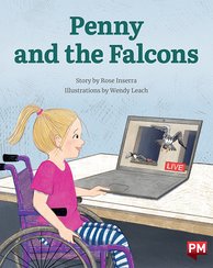 Penny and the Falcons (PM Storybooks) Level 20