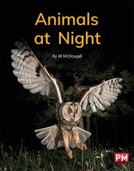 Animals at Night (PM Non-fiction) Level 12