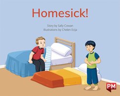 PM Green: Homesick! (PM Storybooks) Level 12 x6