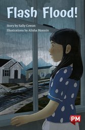 Flash Flood (PM Chapter Books) Level 25