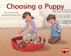 Rachel and Sam Family Pack Levels 6–15