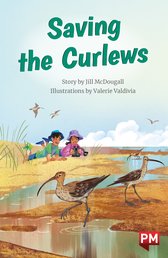 Saving the Curlews (PM Chapter Books) Level 26