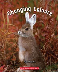 Connectors: Changing Colours (Blue Pack) 7 Book Set