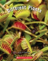 Different Plants (Green Pack)