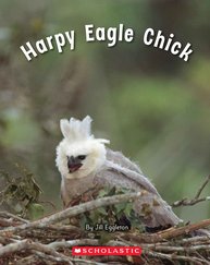 Connectors: Harpy Eagle Chick (Green Pack) 7 Book Set