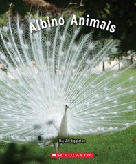 Connectors: Albino Animals (Orange Pack) 7 Book Set