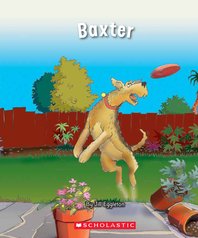 Connectors: Baxter (Orange Pack) 7 Book Set