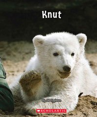 Connectors: Knut (Orange Pack) 7 Book Set