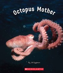 Connectors: Octopus Mother (Blue Pack) 7 Book Set