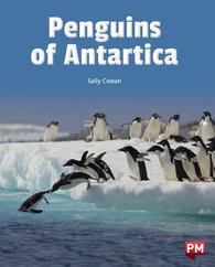 Penguins of Antarctica (PM Non-fiction) Level 24
