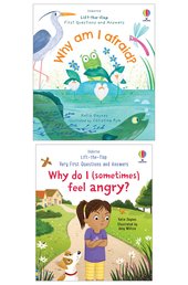 Usborne Lift the Flap Feelings
