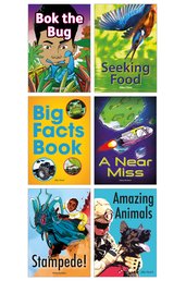 Striders Phonics Readers Phase 2-5 Mixed 32 Book Set