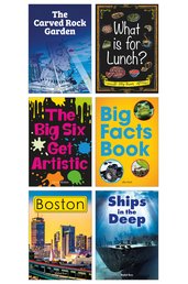 Striders Phonics Readers Phase 4 Guided Reading Set (36 books - 6 copies of 6 books)