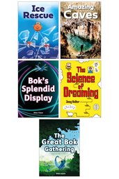 Striders Phonics Readers Phase 5 Guided Reading Set (60 books - 6 copies of 10 books)
