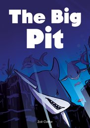 Striders Phonics Readers Set 3: The Big Pit (6 Copies)