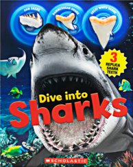 Dive Into Sharks