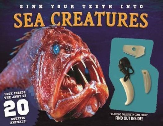 Sink Your Teeth Into Sea Creatures Scholastic Kids Club
