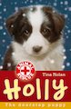 Animal Rescue: Holly the Doorstep Puppy