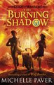 Gods and Warriors: The Burning Shadow