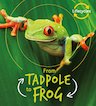 QED Lifecycles: From Tadpole to Frog