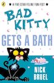 Bad Kitty Gets a Bath