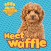 Meet Waffle