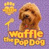 Waffle the Pop Dog