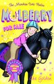 The Meadow Vale Ponies: Mulberry for Sale