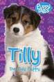 Puppy Tales: Tilly the Tidy Puppy