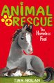 Animal Rescue: The Homeless Foal