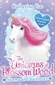 The Unicorns of Blossom Wood - Storms and Rainbows