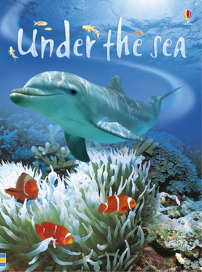 usborne-beginners-under-the-sea-scholastic-kids-club