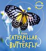 QED Lifecycles: From Caterpillar to Butterfly