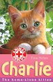 Animal Rescue: Charlie the Home-Alone Kitten
