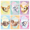 The Owls of Blossom Wood Pack x 6