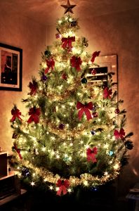 christmas tree.jpg christmas tree.jpg