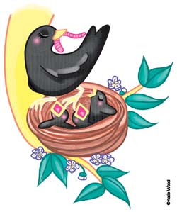habitats - blackbird.jpg habitats - blackbird.jpg