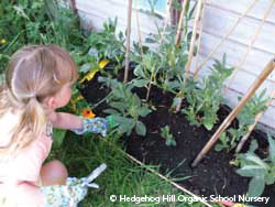 Organic gardening Organic gardening