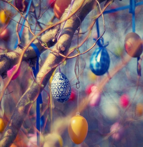 Easter Eggs in a tree