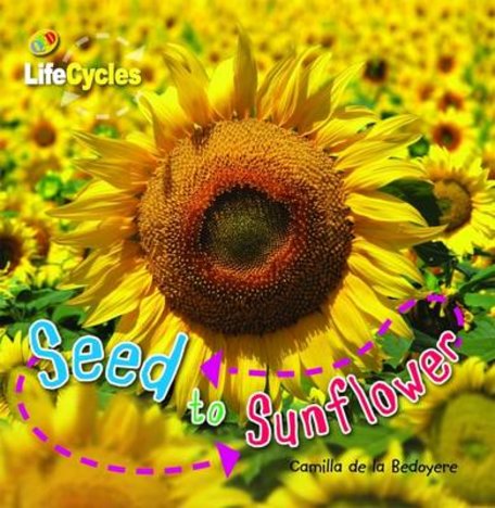 QED Lifecycles: Seed to Sunflower