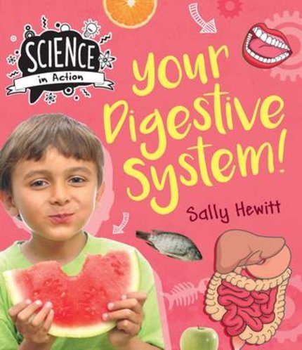 Science in Action: Human Body - Your Digestive System!