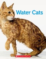 Connectors Silver: Water Cats x 6